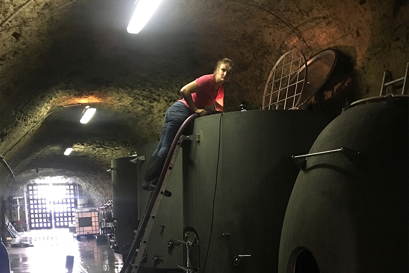 Une jeune femme en haut des cuves de fermentation