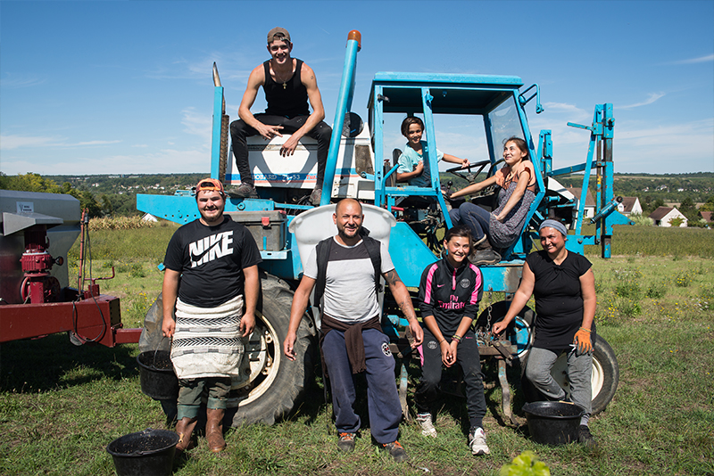 Une belle équipe de vendangeurs