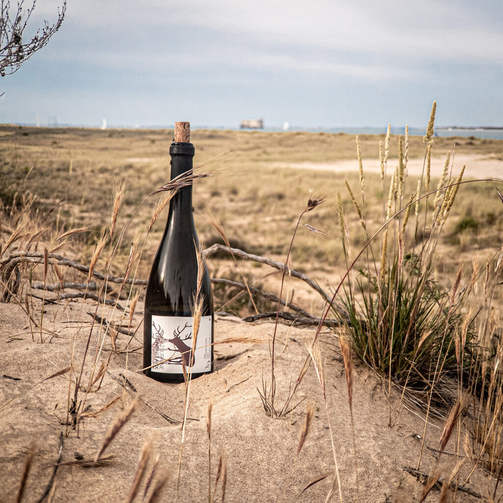Une bouteille de Clos Roussely dans le sable près de Fort Boyard
